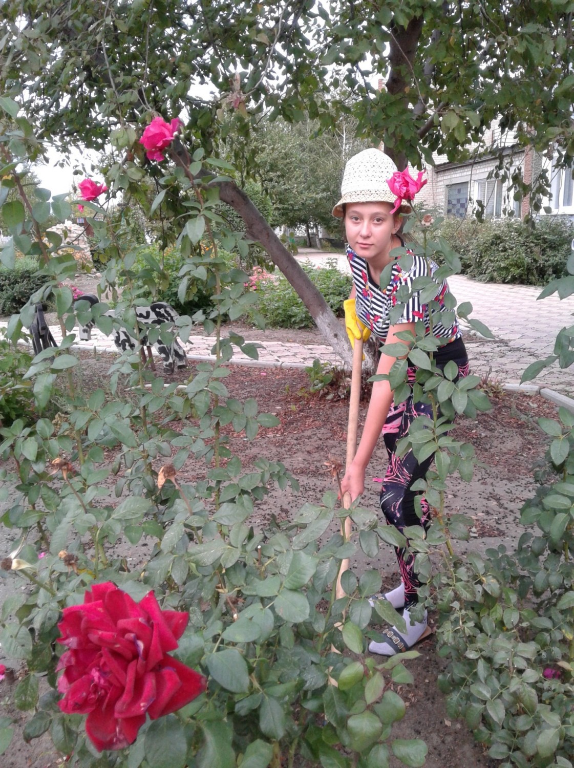 «Я садовником родился»